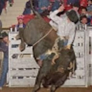 Meet your Posher, Jason beau